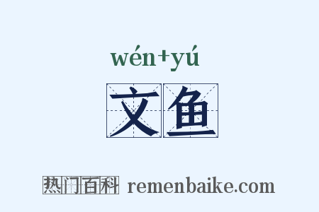 文鱼是什么意思的图片